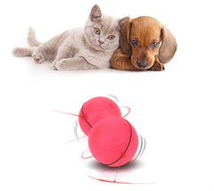 LED Laser Rolling Pet Toy Ball