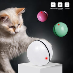 LED Laser Rolling Pet Toy Ball