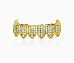Hip Hop Grillz with Copper and Gold Tooth Decor