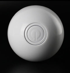 LED Laser Rolling Pet Toy Ball