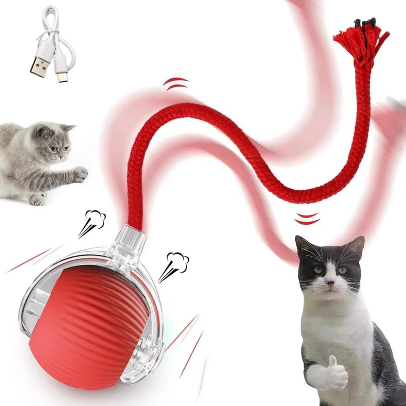 Interactive Rolling Pet Toy Ball for Dogs & Cats