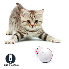 LED Laser Rolling Pet Toy Ball